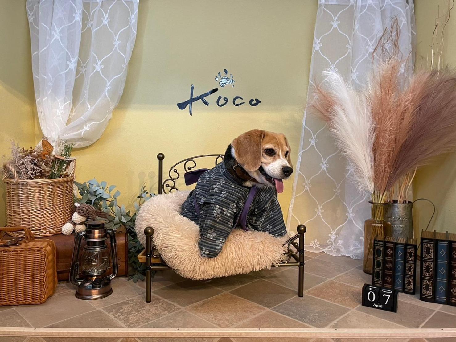 Вілла Koco伊豆高原 Іто Екстер'єр фото